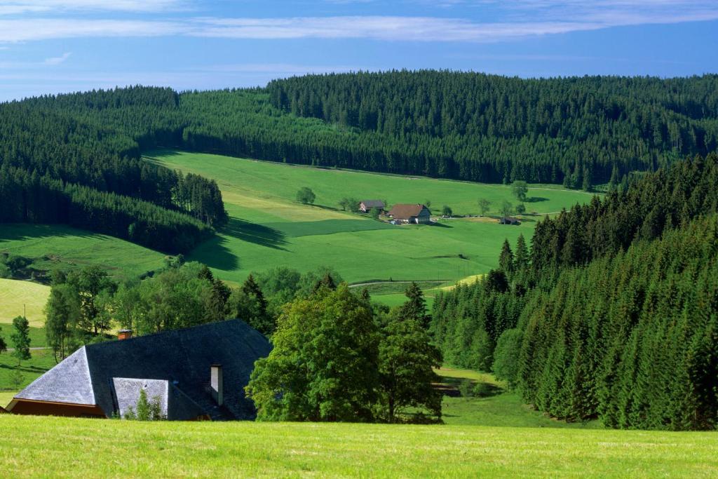 Gaestehaus Waldeck Titisee-Neustadt Luaran gambar